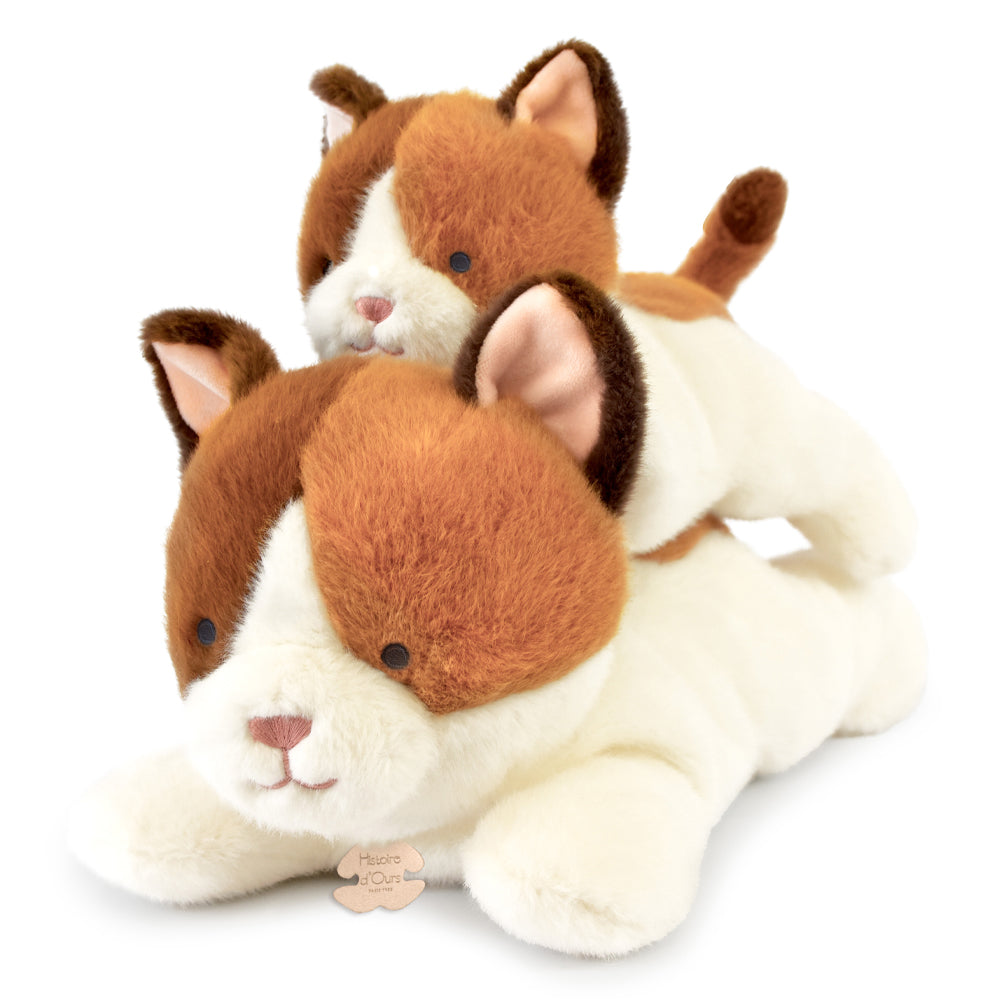 Chat "Les p'tits relax" - HISTOIRE D'OURS