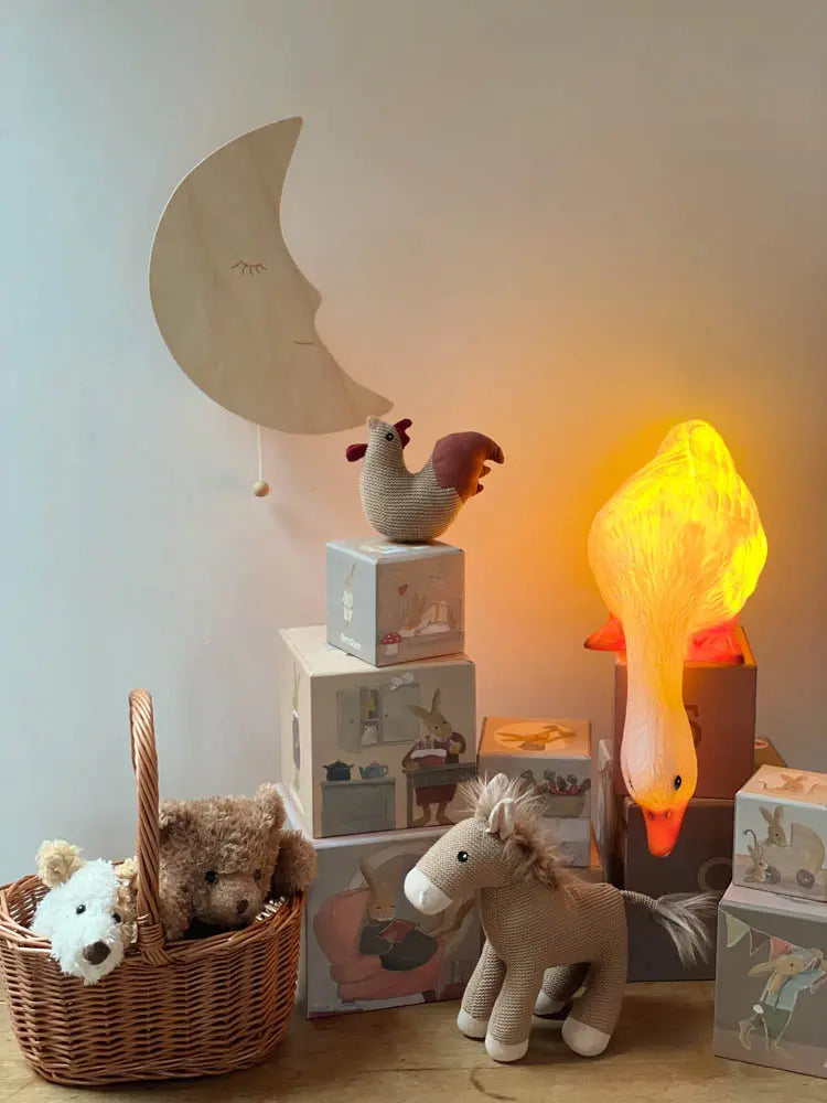 Lampe canard - EGMONT TOYS