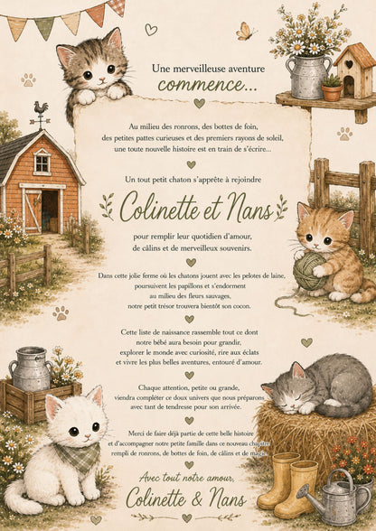 Liste de naissance de Colinette et Nans