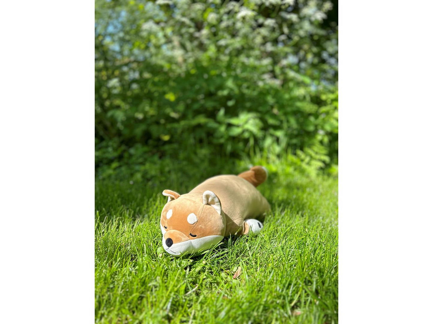 Peluche Chien Shiba Kotarou taille L - NEMU NEMU