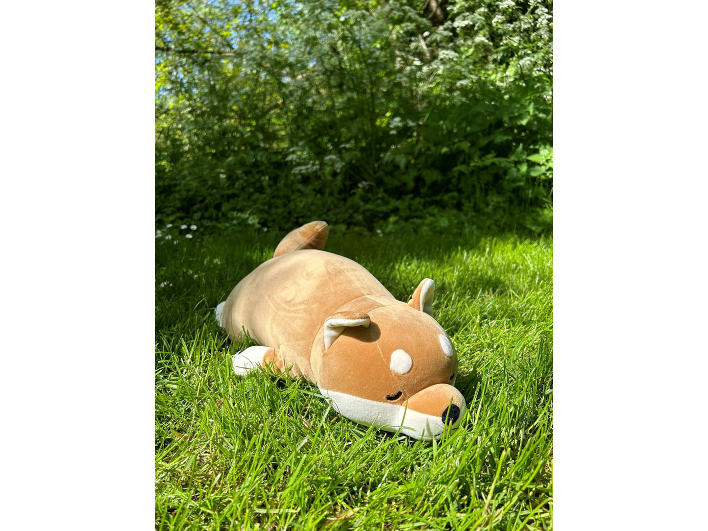 Peluche Chien Shiba Kotarou taille L - NEMU NEMU