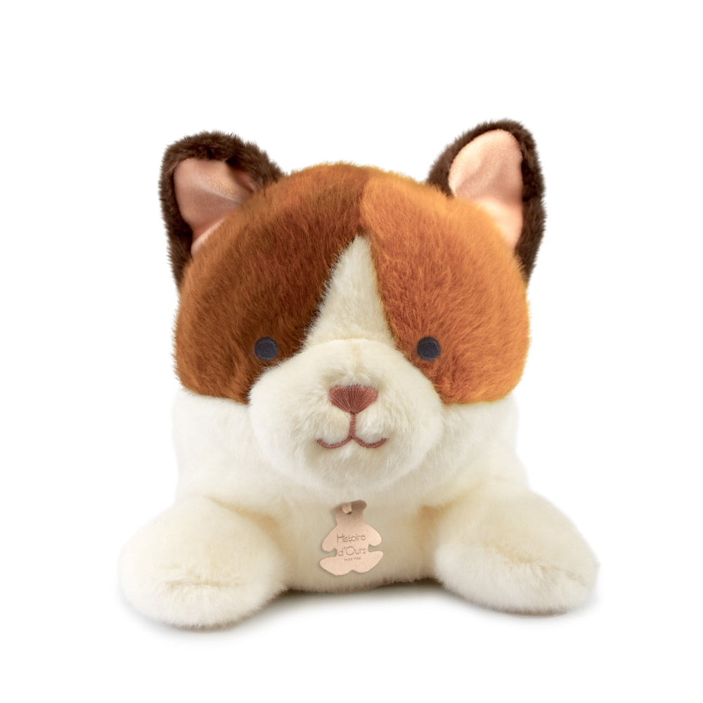 Chat "Les p'tits relax" - HISTOIRE D'OURS
