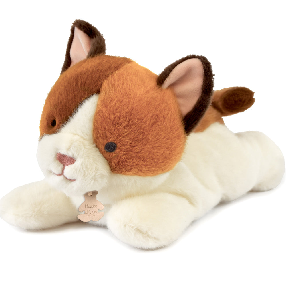 Chat "Les p'tits relax" - HISTOIRE D'OURS