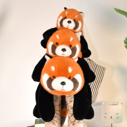 Panda Roux  - HISTOIRE D'OURS