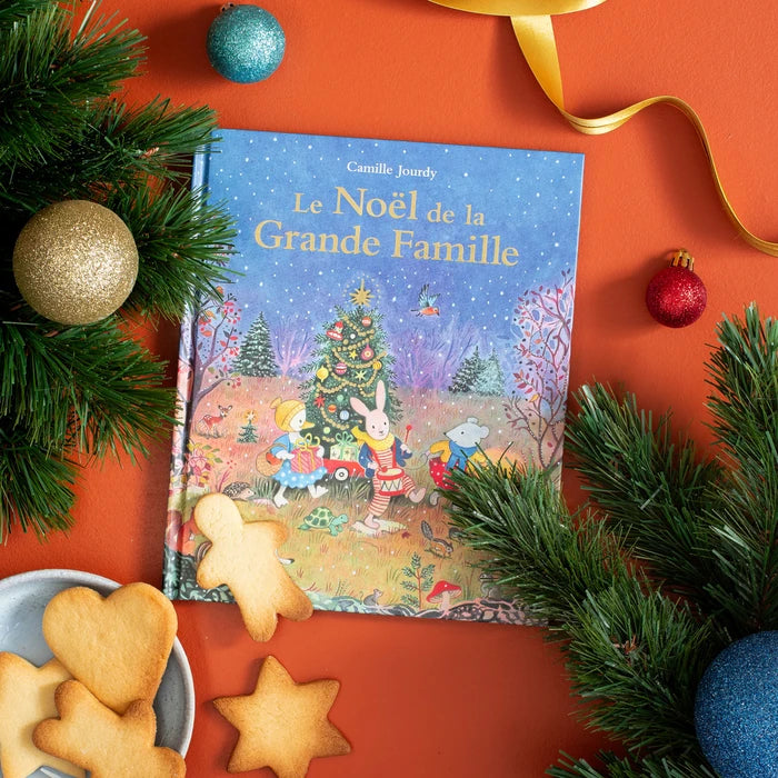 MOULIN ROTY - Livre le Noël de la grande famille